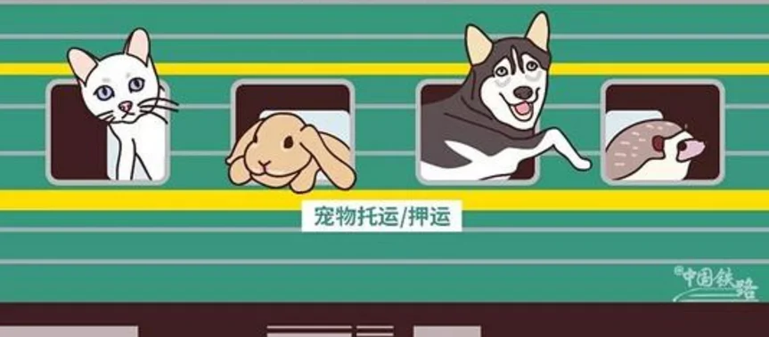 杭州市地铁可以带宠物吗(杭州地铁能偷偷带猫吗)2