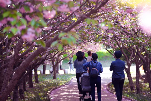 徐州地铁2号线的介绍（彭城广场地铁有什么好玩的）