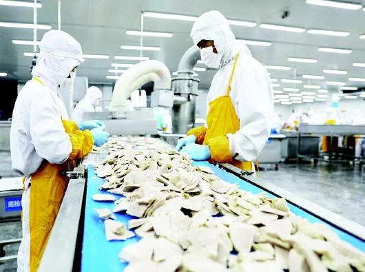 法国的交通运输发展状况是怎样的（法国铁路运输）2