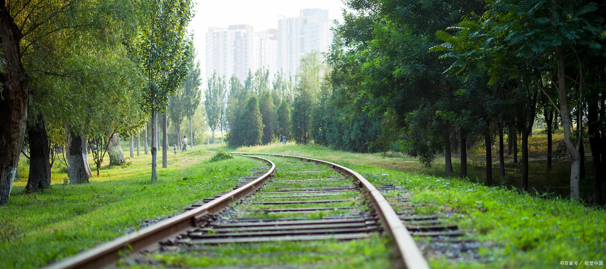 铁路职工的待遇如何(罗定铁路收入)2
