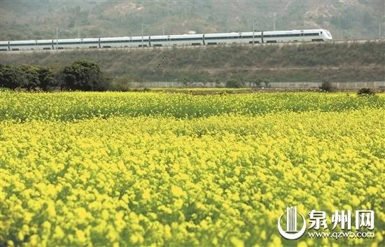 泉州至厦门r1线经过哪些地方（厦漳城际铁路）2