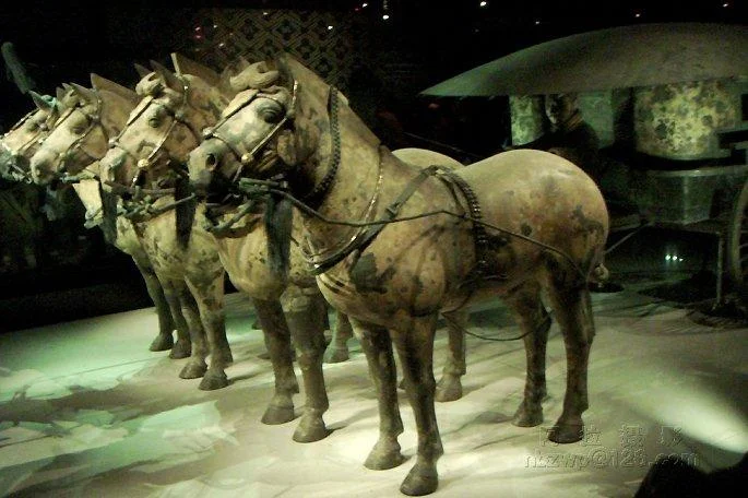 西安地铁8号线有多少站（西安地铁8号线标志色）5