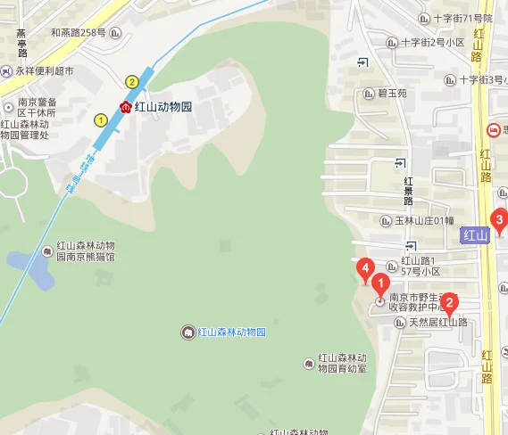 南京站到红山动物园怎么坐地铁(南京红山森林动物园坐几号地铁)2