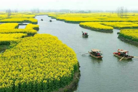 为什么地铁上不能吃东西(上海地铁空气质量)