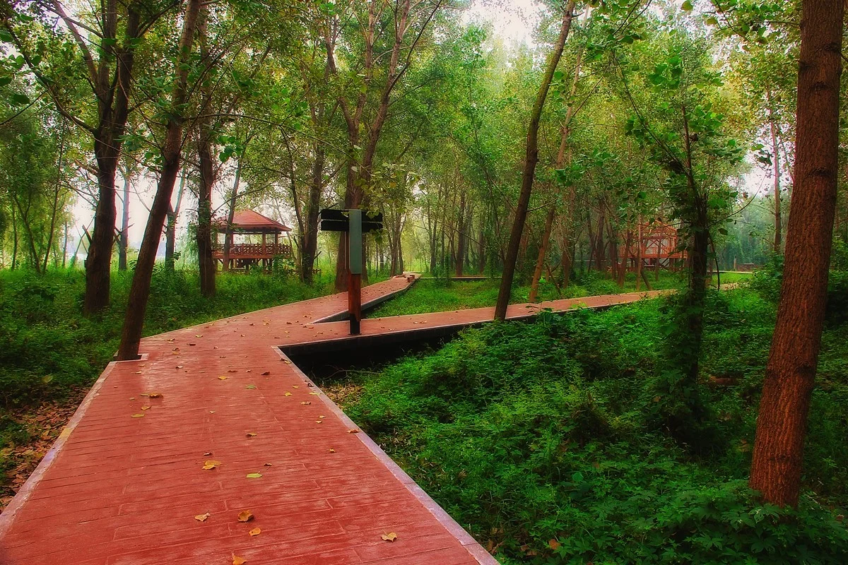 南京地铁10号线能到鱼嘴湿地公园吗（南京鱼嘴湿地公园地铁）