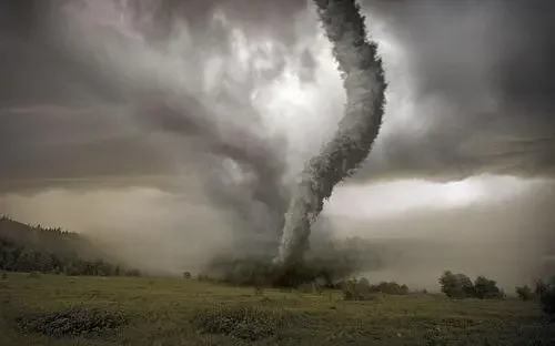 上海地铁二号线各站点（上海地铁站举行核化生救援演练）4