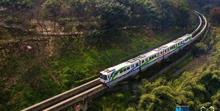 重庆轻轨电扶梯夹人（重庆轨道交通死亡）3