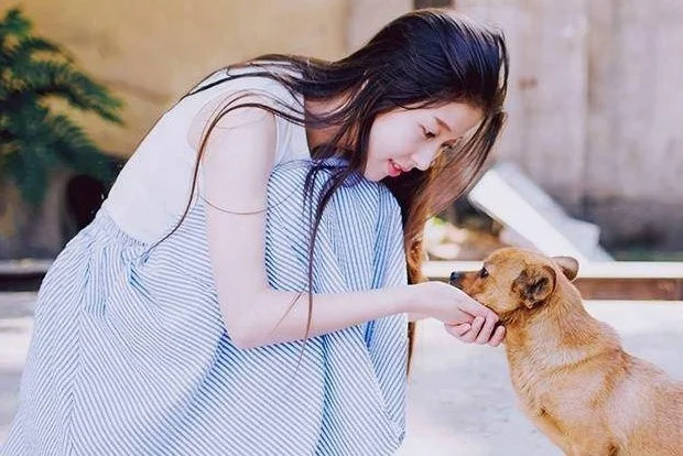 收集各种土味情话(武汉地铁土味情话)2