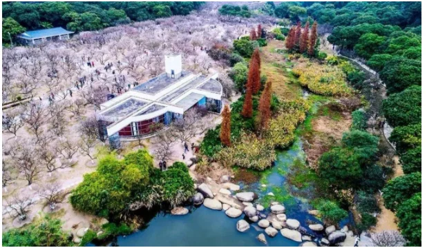 广州地铁6号线二期香雪站出入口在哪（广州地铁六号线香雪F出口集合电子）