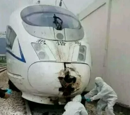 铁路边上用的是什么防护网(铁路被动防护网)2