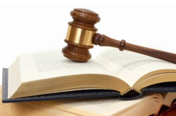 中国网民对社会上的一些事在网上发表评论（高铁霸座时评）2