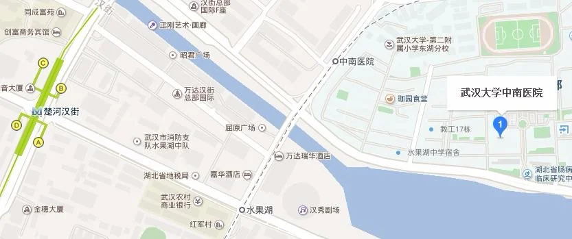武昌火车站到中南医院怎么坐地铁(汉口到中南医院地铁站)1