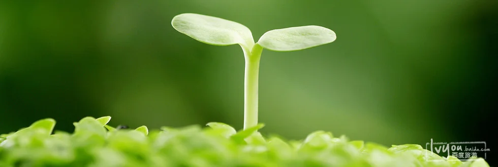 成都3号地铁植物园站只有一个出口吗（成都市植物园地铁站出口）