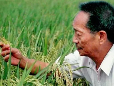 袁老说没实现的梦想后期会有人实现这个梦想到底是什么（地铁电视袁老说成都）5