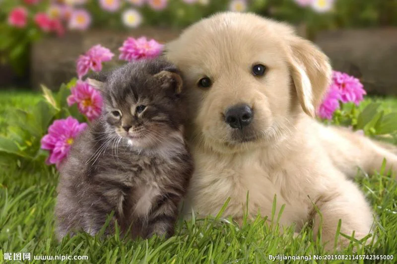 铁路等级的中国传统分级（中国铁路远期）3