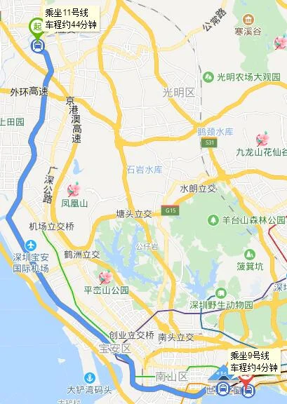 深圳湾公园附近的地铁是哪一站（碧头到深圳湾公园地铁站）