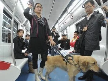 北京地铁的运营管理(北京市轨道交通运营管理办法)8