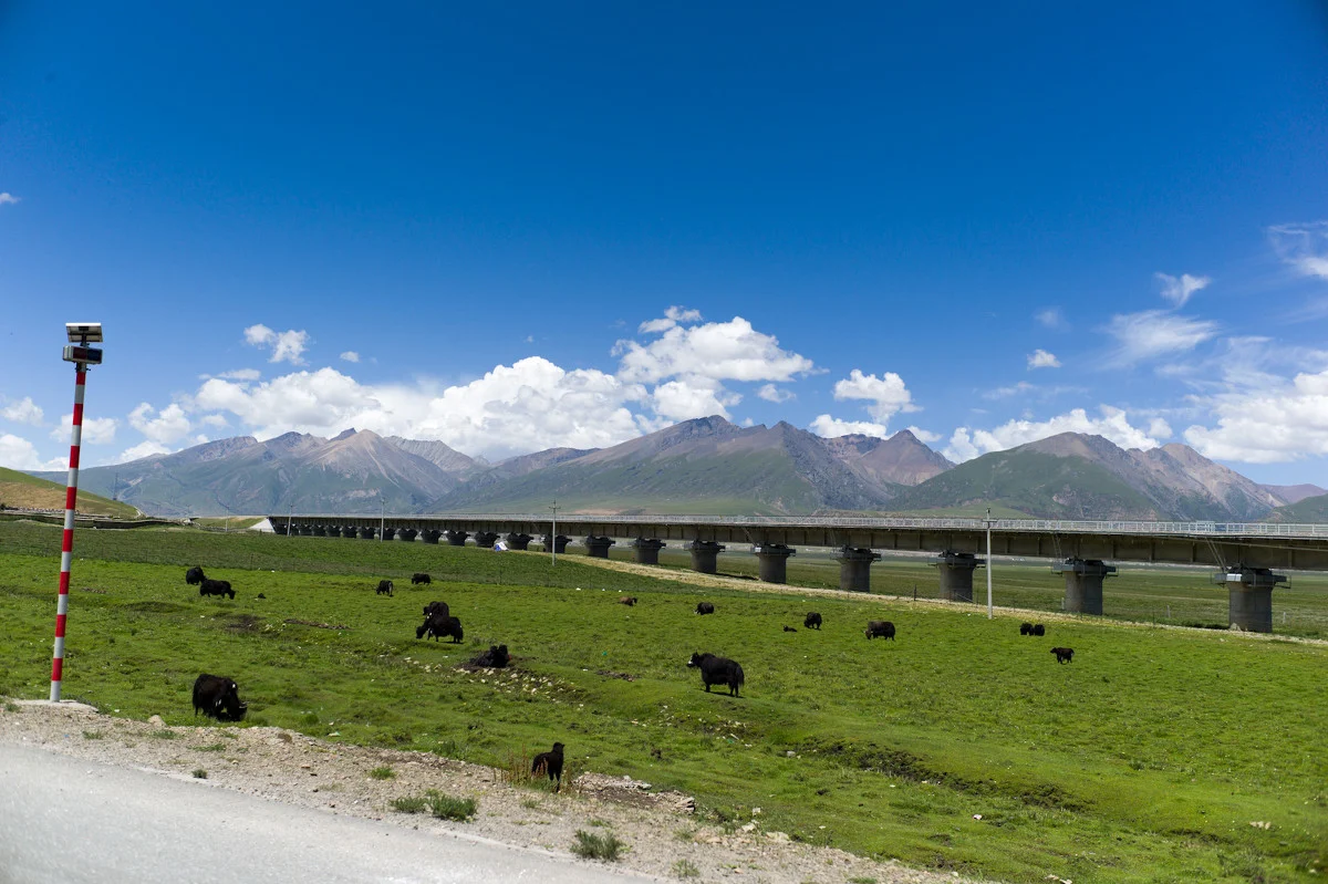 青藏铁路什么时候建成（那曲高铁）4