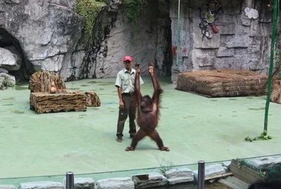 广州南站到长隆欢乐世界有多远（广州南地铁去长隆）2