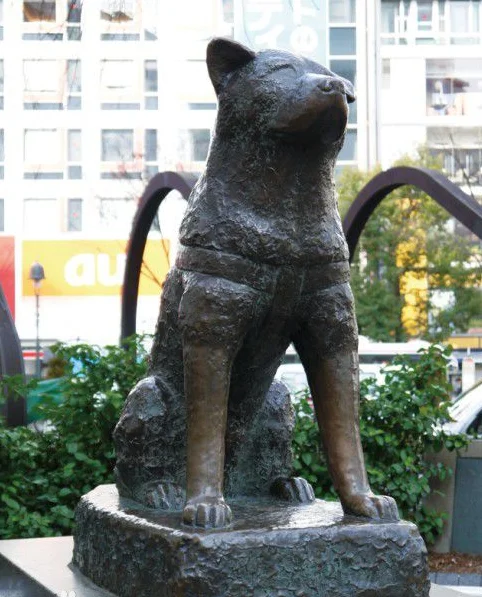 忠犬八公在东京地铁涩谷站哪个出口（东京八幡山地铁站）2