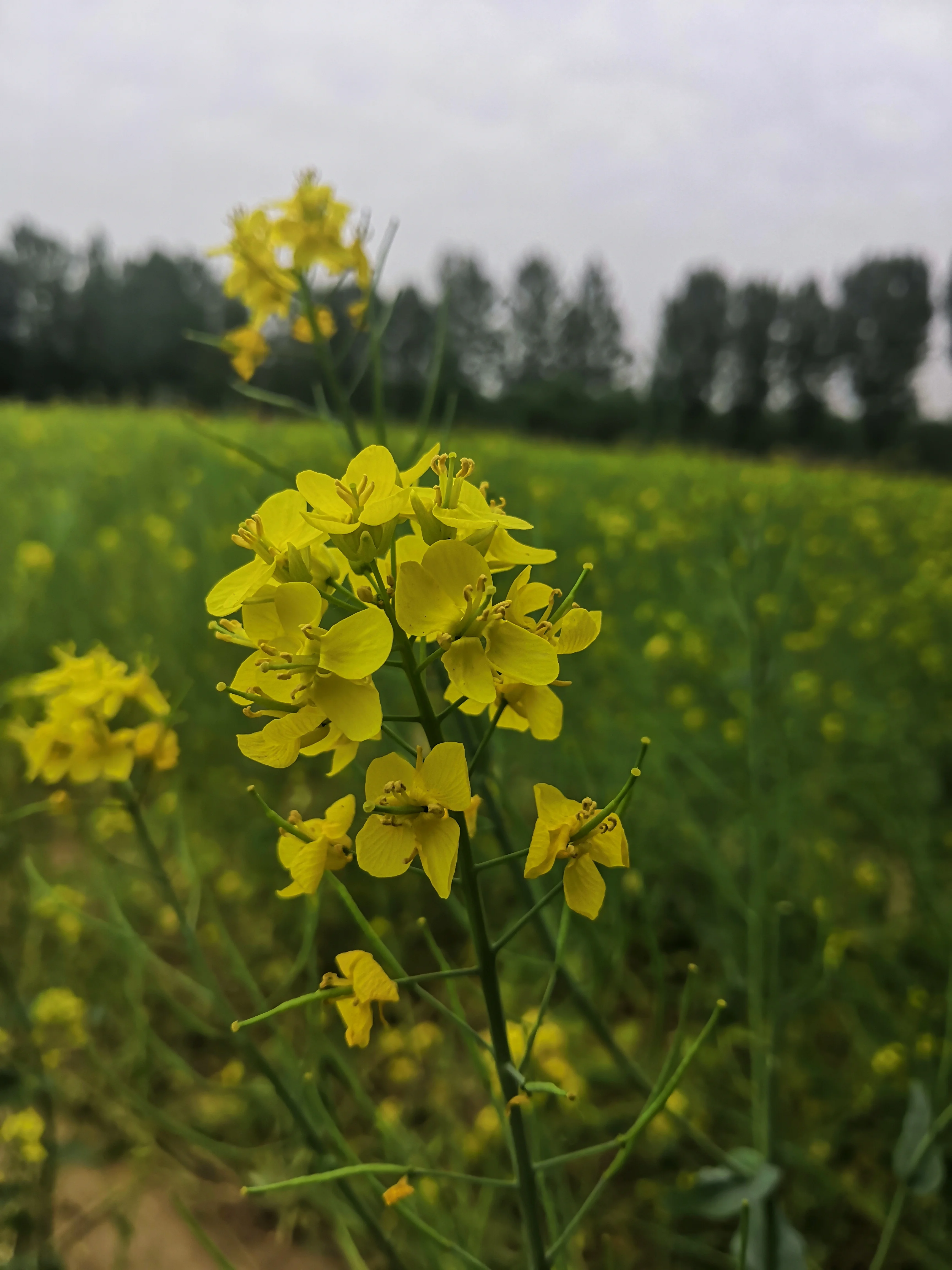 智能轨道交通的就业方向毕业以后好就业吗（2017智慧轨道交通）