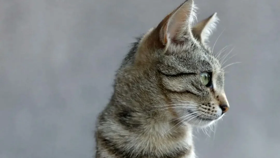 北京地铁一共有多少条线路北京地铁一共有多少个车站(北京地铁共多少换乘站)1