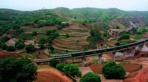 宝中铁路的铁路绿化(宝中铁路二线宁夏段)3