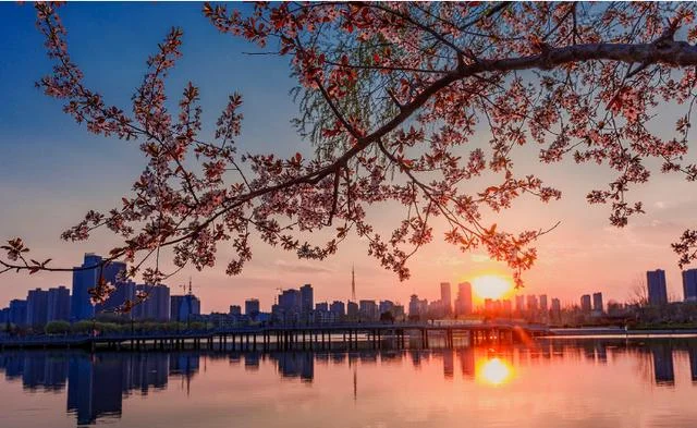 限号违章怎样处罚扣分吗扣几分罚款金额是多少（涉县地铁线）