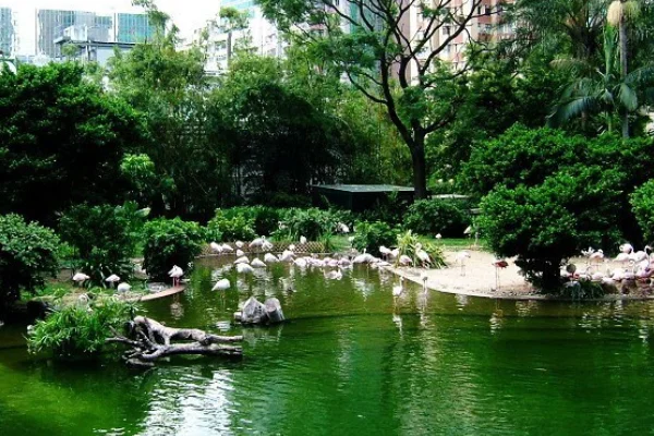 从佐敦地铁站哪个出口步行去西九龙高铁站近(佐敦地铁站附近景点)2