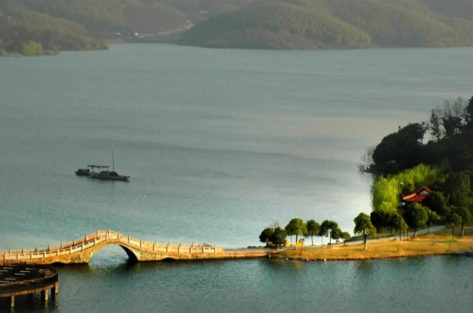 杭州地铁和公交车能不能带狗上车(杭州地铁推车)3