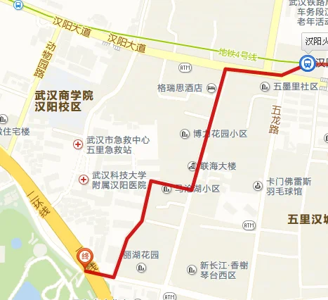 汉口火车站到武汉动物园怎么走(武汉青年路地铁站到武汉动物园)2