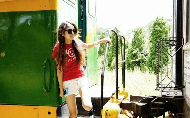 越南的铁路是窄轨还是宽轨（越南中文铁路）5