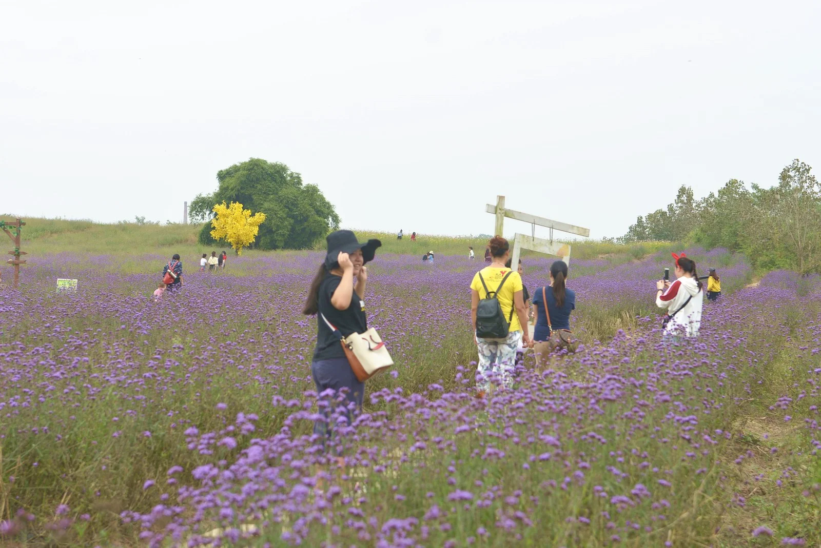 成都地铁二号线途径有哪些旅游景点（成都地铁看花）3