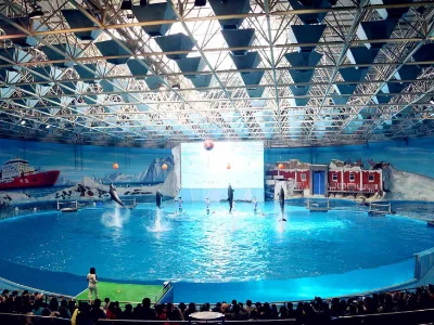 地铁如何到极地海洋世界呢(杭州极地海洋公园几号地铁可以到)1