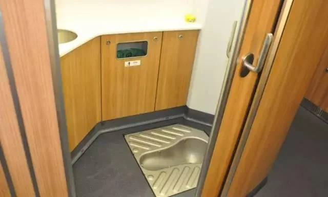 第一次坐高铁请问高铁有厕所吗（高铁大便池）4