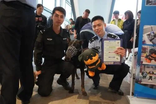 十大警犬驯服度排名是怎么样的（上海地铁史宾格警犬）2