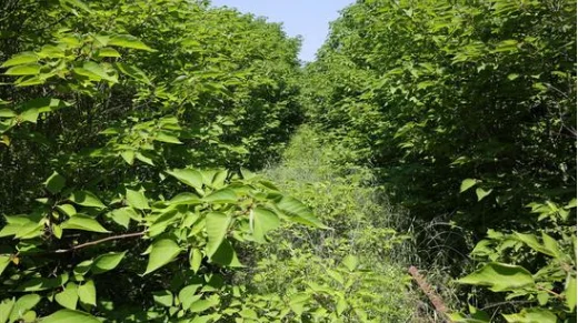 西安的地铁站共有几个（西安网红地铁站）