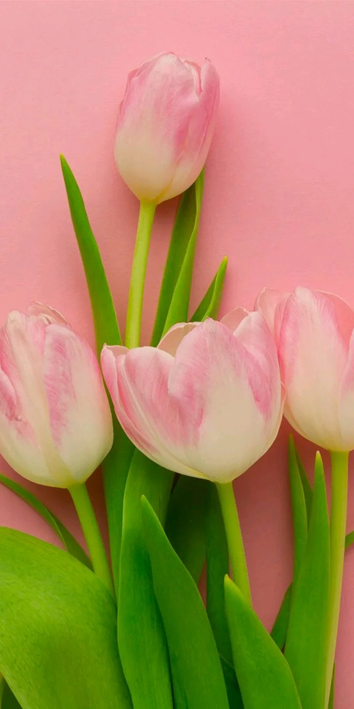 杭州地铁可以携带白酒吗（杭州地铁酒类）