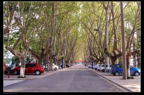 求教:南京地铁乘车规则(南京地铁第一版)