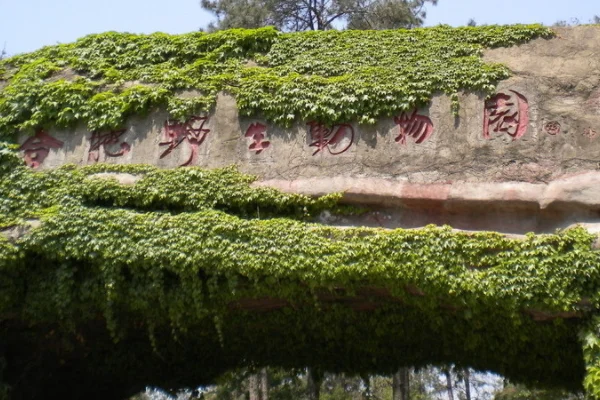 合肥地铁二号线到合肥火车站哪一个站点停（合肥2号地铁线路图）