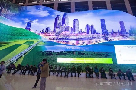 上海地铁11号线一女子逼小学生让座这是真的教育还是欺负小学生(歌唱祖国上海地铁)4