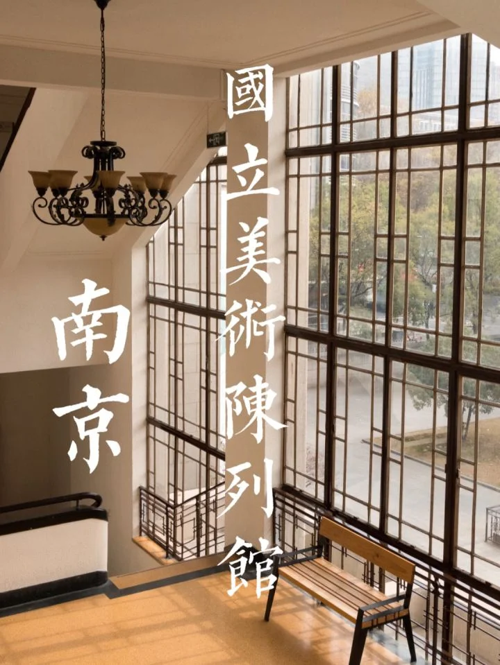 南京段出现5头江豚两头幼崽目前我国的江豚有多少都分布在哪里(南京地铁江豚)7