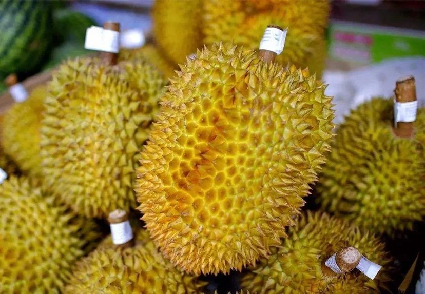 地铁上可以带未打开的榴莲吗(榴莲能带进杭州地铁吗)3