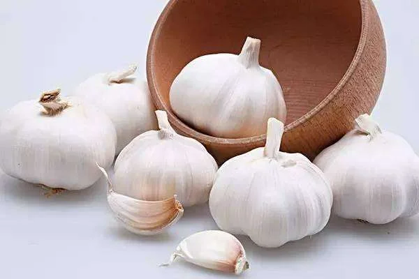 “你有教养的样子真美”地铁偷拍照为何能让人如此赞誉（上海地铁中学生捡蒜皮）2