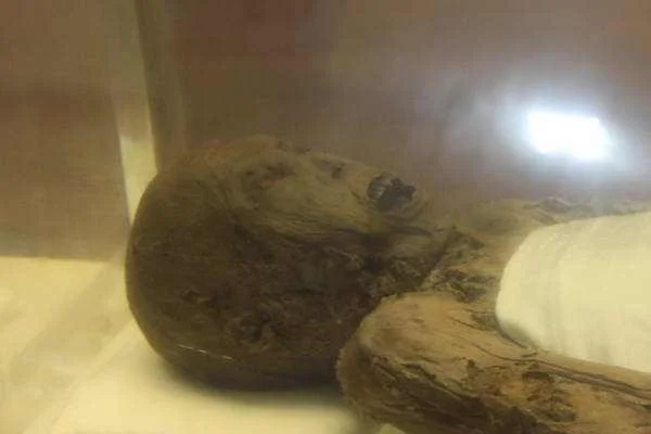 95年成都僵尸事件是怎么回事（成都地铁僵尸女事件）2