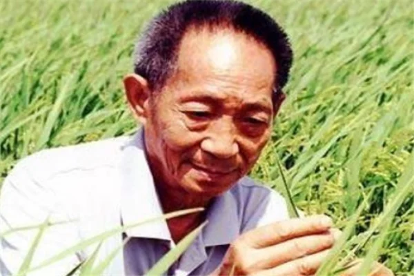 袁老说没实现的梦想后期会有人实现这个梦想到底是什么（地铁电视袁老说成都）6