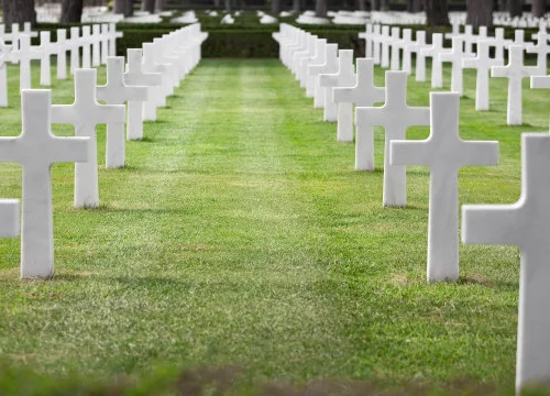 在太仓怎么乘车可以乘上海地铁11号线（上海地铁11号线太仓）