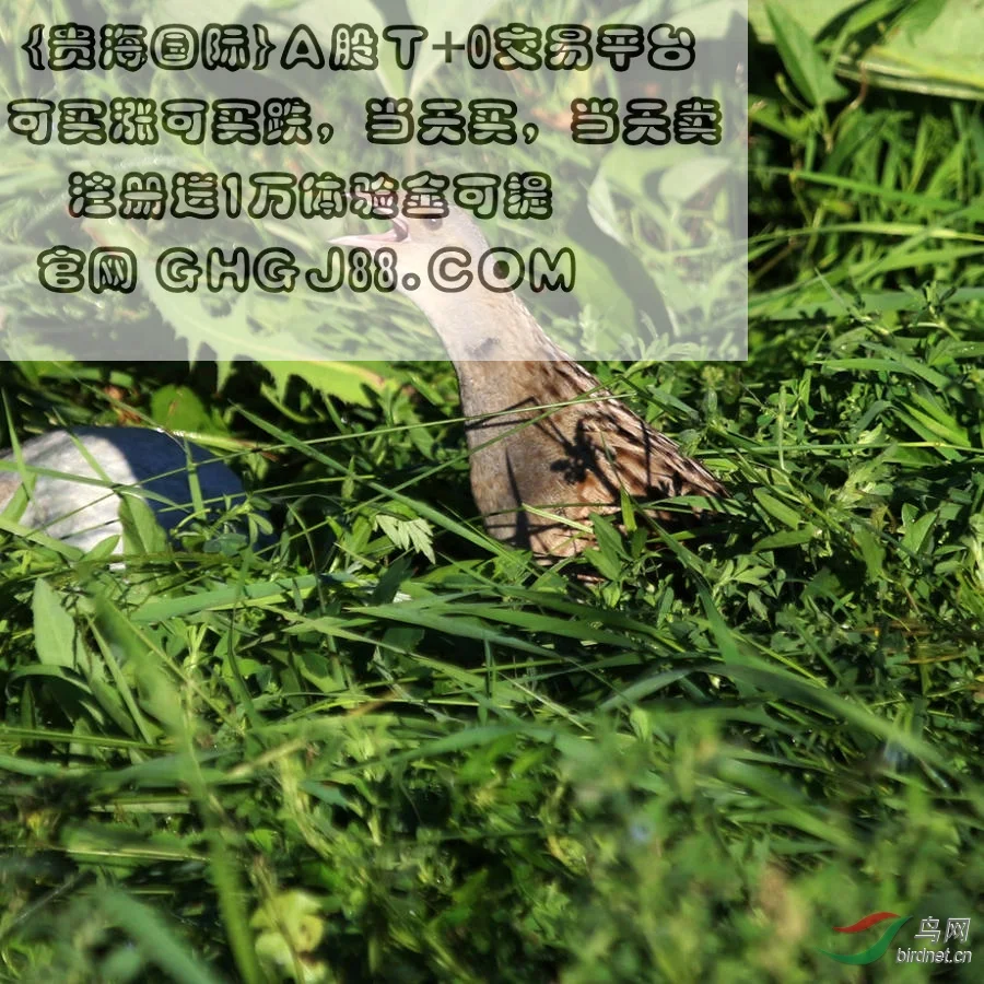 中国城市轨道交通协会发布的2016年度数据有哪些（文山轨道交通）3