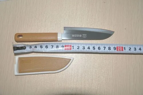 乘地铁可以带水果刀吗（杭州地铁上可以带水果刀吗）2