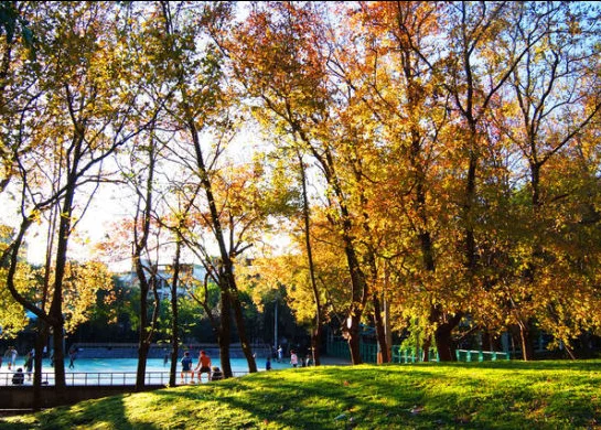 在上海月薪到手八千应该攒钱回老家买房还是投资自己(上海地铁指南)2